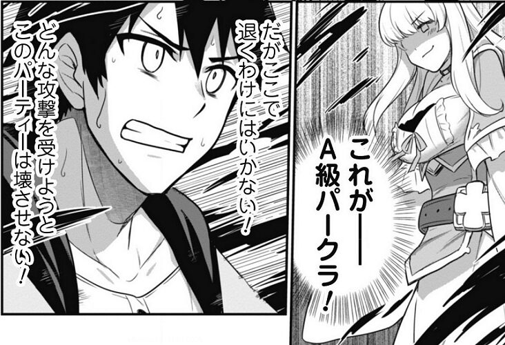 最近入った白魔導士がパーティークラッシャー A級パークラマリア