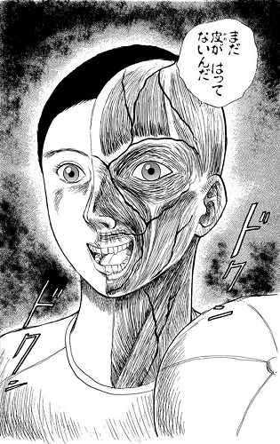地獄先生ぬーべー 人体模型